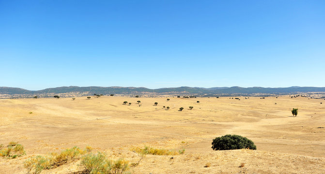 El Valle de Alcudia en verano, Ciudad Real, Espa&ntilde;a