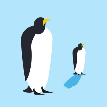 Penguin isolated. Arctic birds. Animal Antarctica Funa at the No