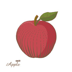 Red apple. Woodcut style. Hand drawn sketch fruits.