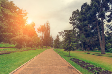 Nuwara Eliya, Sri Lanka. Queen Victoria Park, the sun illuminates the park road