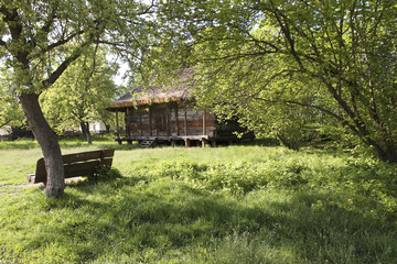 Wooden rural house in a green garden. Pirogovo, Ukraine.