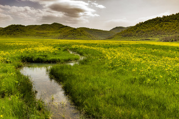 küçük menderesler ve ilkbahar mevsimi