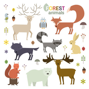 Forest animals set in flat style. Wolf, fox, raccoon, owl, deer, bear, squirrel,moose, hare isolated on white. Vector Illustration