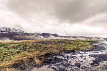 Steamy fields in iceland