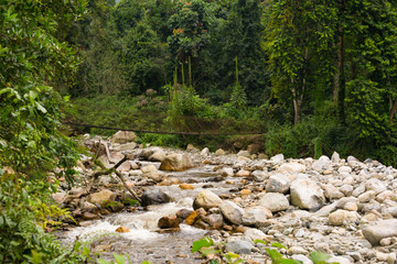 Fototapeta na wymiar riverbed with bridge in ruwenzori mountains, uganda