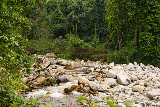 Riverbed With Bridge In Ruwenzori Mountains, Uganda