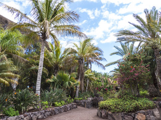 Exotic garden with palm trees.