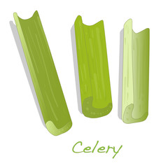 Green fresh celery isolated on white.
