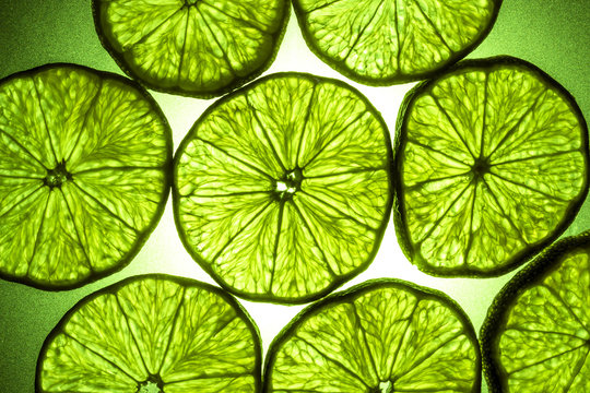 Macro shot of a slice of lime in transmitted light
