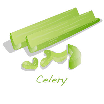 Green fresh celery isolated on white.