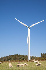 Sheep grazing at the foot of a wind turbine   against a blue sky supplying renewable electricity and power from the kinetic energy of the wind