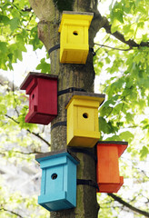 Vogelhaus
