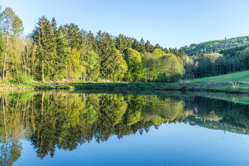 Fototapeta na wymiar Waldlandschaft gespiegelt