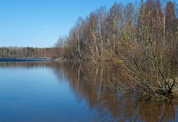 spring  flooding on the lake