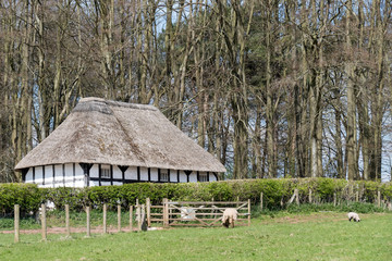 View of Abernodwydd Farmhouse at St Fagans National History Muse