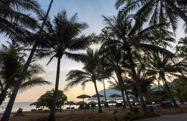 Fototapeta na wymiar Silhouette von Palmen während des Sonnenunterganges