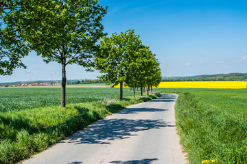 Farbenfrohe Landschaft im Frühling