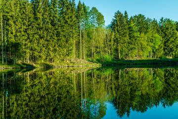 Fototapeta premium Spiegelung im Wasser
