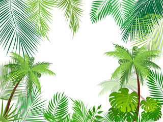 Obraz premium Tropical jungle background with palm tree and leaves. 