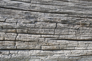 Seamless texture of old wood with cracks.