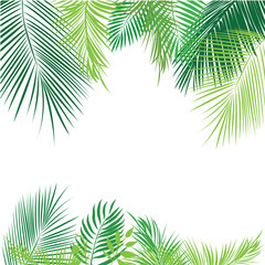 Obraz premium Tropikalna dżungla tło z palmą i liśćmi.