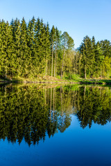 Spiegelung im Wasser