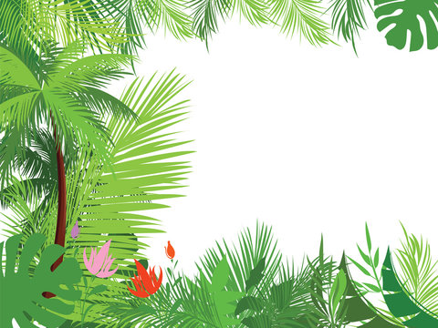 Jungle Background Cartoon Images – Browse 137,743 Stock Photos, Vectors,  and Video | Adobe Stock