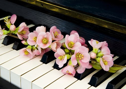 Fototapeta Condolence card - flower on piano