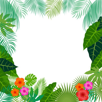 Tropical jungle background with palm tree and leaves. 