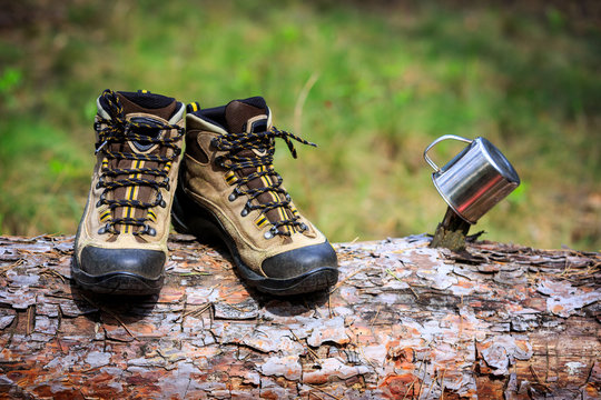 tourist boots on wooden log in forest