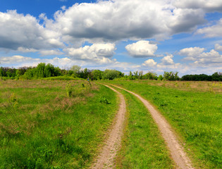 path across green meadow