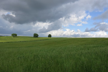 Obraz premium campagna