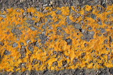 Yellow worn markings on asphalt road