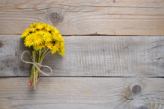 Fototapeta Bouquet of dandelion flowers on wooden background