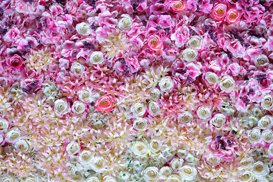 Beautiful flowers wall background