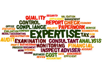 Expertise, word cloud concept 3