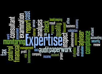 Expertise, word cloud concept 4