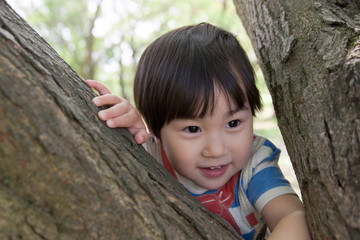 木に登る男の子