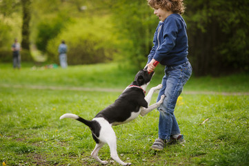 Blond boy having fun playing with the dog