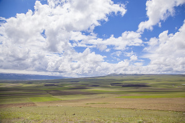Fototapeta premium sky and field