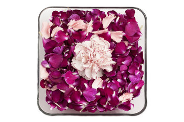 pink carnation flower in bowl of violet petals