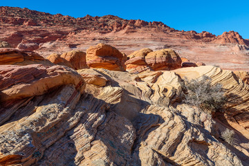 Arizona-Vermillion Cliffs Wilderness-North Coyote Buttes-The Wave. Spectacular undulating rock formations perfectly describe this area.