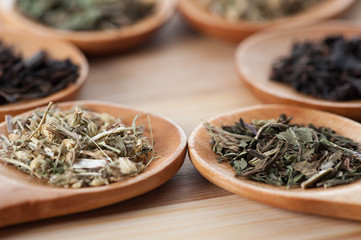 Dry tea on spoons 