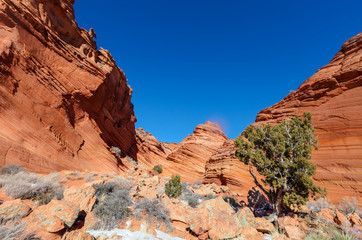 Fototapeta premium Arizona-Utah-Vermillion Cliffs National Monument, S Coyote Buttes-Pawhole- Spectacular rock formations abound.
