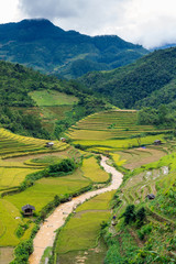 Mu Cang Chai