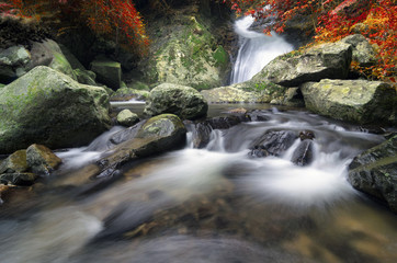 Fototapeta na wymiar Waterfall in autumn forest.