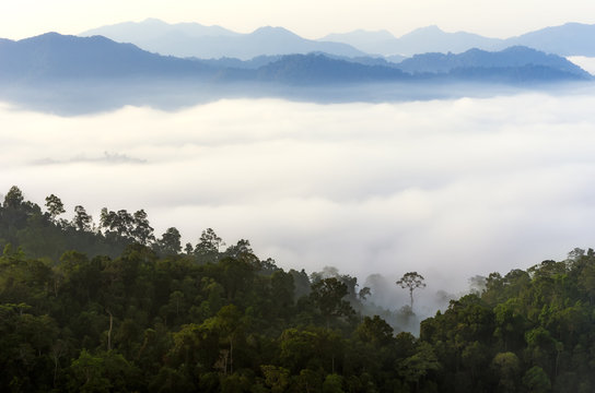 Fototapeta Kaeng Krachan National Park.