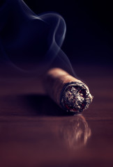 Fuming Havana cigar