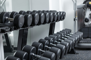 Row of dumbbells at the gym 