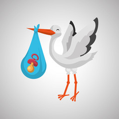 Baby shower design. invitation design.  isolated illustration